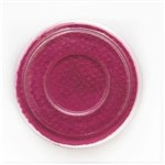 Ficha técnica e caractérísticas do produto Aquacolor em Gel Atelier Paris - F25 Rosa Brilhante