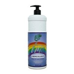 Ficha técnica e caractérísticas do produto Arco-Iris Creme Diluidor 900ml - Kamaleão Color - Coloração