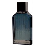 Ficha técnica e caractérísticas do produto Armateur Men Eau de Toilette Paris Bleu - Perfume Masculino - 100 Ml