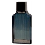Ficha técnica e caractérísticas do produto Armateur Men Paris Bleu Perfume Masculino Eau de Toilette 100ml