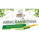 Ficha técnica e caractérísticas do produto Arnica Montana