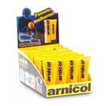 Ficha técnica e caractérísticas do produto Arnicol com Sebo de Carneiro 50g. - Display 12 Unid. - Demazon