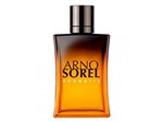 Ficha técnica e caractérísticas do produto Arno Sorel Aromatic - Perfume Masculino Eau de Toilette