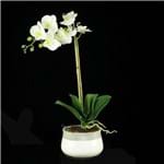 Ficha técnica e caractérísticas do produto Arranjo Orquídea 60 Cm