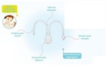 Ficha técnica e caractérísticas do produto Aspirador Nasal de Sucção - Buba Baby