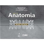 Ficha técnica e caractérísticas do produto Atlas de Anatomia: Dentes Decíduos