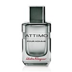 Ficha técnica e caractérísticas do produto Attimo Pour Homme Eau de Toilette Salvatore Ferragamo - Perfume Masculino 100ml