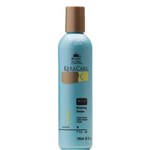 Ficha técnica e caractérísticas do produto Avlon Keracare Dry Itchy Scalp Shampoo 240ml