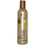 Ficha técnica e caractérísticas do produto Avlon Keracare Hydrating Detangling Shampoo Hidratante 240 ml