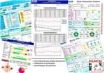 Ficha técnica e caractérísticas do produto Balança de Bioimpedância Bc 601 FS 2019 Tanita C/ Software Ilimitado 2019 +SD CARD+ Mochila Original Bc601