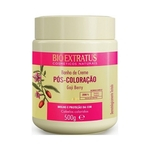 Ficha técnica e caractérísticas do produto Banho de Creme Pós Coloração Bio Extratus -500g