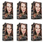 Ficha técnica e caractérísticas do produto Beautycolor Tinta Kit 5.4 Castanho Claro Acobreado (Kit C/06)