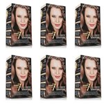 Ficha técnica e caractérísticas do produto Beautycolor Tinta - Kit 5.4 Castanho Claro Acobreado - Kit com 06