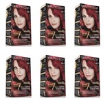 Ficha técnica e caractérísticas do produto Beautycolor Tinta Kit 66.46 Vermelho Chama Provocante (Kit C/06)