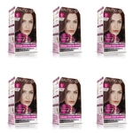Ficha técnica e caractérísticas do produto Beautycolor Tonalizante S/ Amônia 5.7 Chocolate Café (kit C/06)