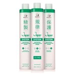 Ficha técnica e caractérísticas do produto Beleza Pro Japan Hair System Kit Redutor de Volume Japonês 3x500ml