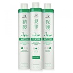 Ficha técnica e caractérísticas do produto Beleza Pro Japan Hair System Kit Redutor de Volume Japonês - 3x500ml