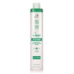 Ficha técnica e caractérísticas do produto Beleza Pro Japan Hair System Redutor de Volume Passo 2