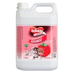 Ficha técnica e caractérísticas do produto Bellokão shampoo Morango galão 5 litros para caes e gatos