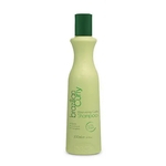 Ficha técnica e caractérísticas do produto BEOX Moisturizing Curly Shampoo 300ml - Brazilian Curly