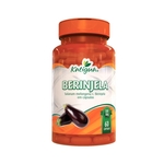 Ficha técnica e caractérísticas do produto Berinjela 500mg 60 cápsulas - Katiguá