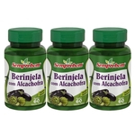 Ficha técnica e caractérísticas do produto Berinjela com Alcachofra - Semprebom - 180 caps - 500 mg