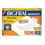 Ficha técnica e caractérísticas do produto Bigfral Absorvente Bigmaxi