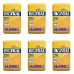 Ficha técnica e caractérísticas do produto Bigfral Plus Fralda Geriátrica Xg C/7 (Kit C/06)