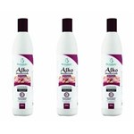 Ficha técnica e caractérísticas do produto Bio Instinto Alho Desodorizado Shampoo 400ml - Kit com 03