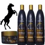 Ficha técnica e caractérísticas do produto Bio Instinto Capil Horse Shampoo + Condicionador + Máscara + Leave In (kit C/06)