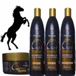 Ficha técnica e caractérísticas do produto Bio Instinto Capil Horse Shampoo + Condicionador + Máscara + Leave In