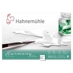 Ficha técnica e caractérísticas do produto Bloco Aquarela Hahnemuhle Harmony 300g/m2 Textura Satinada 21x29,7cm 12 Folhas