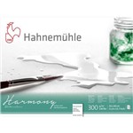 Ficha técnica e caractérísticas do produto Bloco Pintura Hahnemuhle Harmony 30x40cm 300gr Hp 12fls