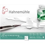 Ficha técnica e caractérísticas do produto Bloco Pintura Hahnemuhle Harmony 24x30cm 300gr Hp 12fls