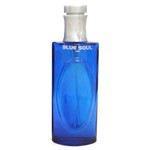 Ficha técnica e caractérísticas do produto Blue Soul Christine Darvin - Perfume Masculino - Eau de Toilette