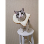 Ficha técnica e caractérísticas do produto Bonito Forma dos desenhos animados do animal de estimação chapéus para gato Vestir-se Props Gostar