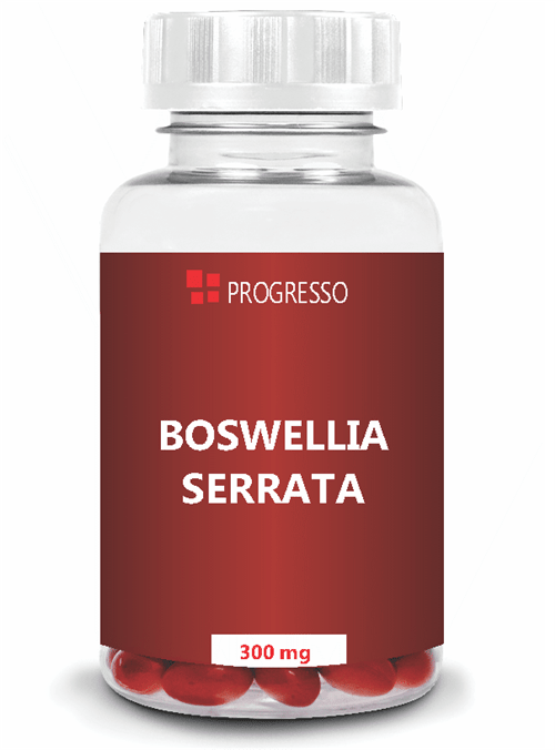 Ficha técnica e caractérísticas do produto Boswellia Serrata 300 Mg 90 Cápsulas