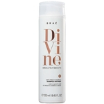 Ficha técnica e caractérísticas do produto Braé Divine Home Care Shampoo 250ml