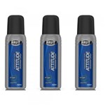 Ficha técnica e caractérísticas do produto Brut Attitude Desodorante Spray 100ml (Kit C/03)