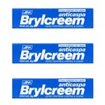 Ficha técnica e caractérísticas do produto Brylcreem Creme Modelador Anticaspa Azul 40g (Kit C/03)