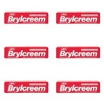 Ficha técnica e caractérísticas do produto Brylcreem Creme Modelador Vermelho 40g - Kit com 06