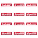 Ficha técnica e caractérísticas do produto Brylcreem Creme Modelador Vermelho 40g - Kit com 12