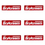 Ficha técnica e caractérísticas do produto Brylcreem Creme Modelador Vermelho 80g - Kit com 06