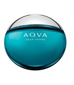 Ficha técnica e caractérísticas do produto Bvlgari Aqva Pour Homme Eau de Toilette Perfume Masculino 30ml