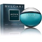 Ficha técnica e caractérísticas do produto Bvlgari Aqva Pour Homme Perfume Masculino Eau de Toilette - 100 Ml