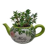Ficha técnica e caractérísticas do produto Cachepot Ceramica Teapot Green Leaves Verde 27 X 16,5 X 11 Cm - Urban
