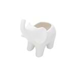 Ficha técnica e caractérísticas do produto Cachepot de Cerâmica Animals Elephant Urban Branco