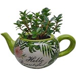 Ficha técnica e caractérísticas do produto Cachepot de Cerâmica Verde Teapot Green Leaves 40393 Urban
