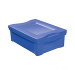 Ficha técnica e caractérísticas do produto Caixa Organizadora com Tampa 13,5L Plástico Azul Color Ordene Ordene