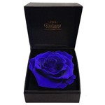 Ficha técnica e caractérísticas do produto Caixa Premium com Rosa Encantada Azul